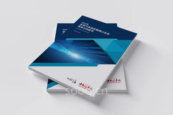 強鏈穩(wěn)鏈正當(dāng)時 14家中國汽車零部件企業(yè)入圍全球百強