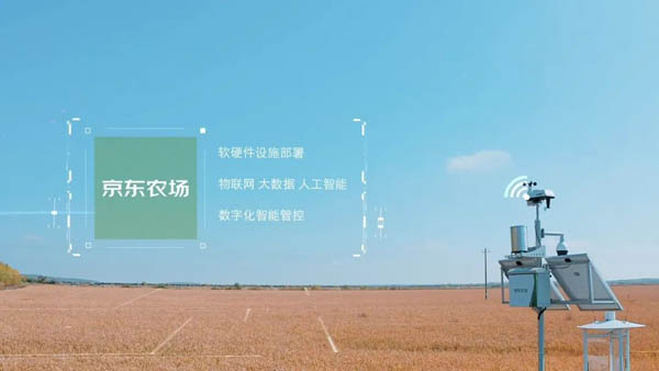 當(dāng)有機農(nóng)業(yè)遇上物流科技，京東物流攜手西充講述鄉(xiāng)村振興新故事